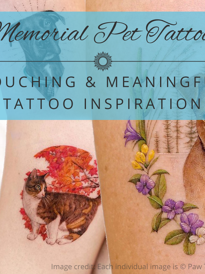 memorial-pet-tattoo