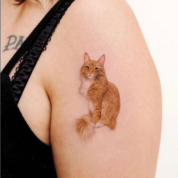 Cat Lover Temporary Tattoo Sticker Sleepy Calico Cat Tattoo Ink Life of Cats  Art Belly Rubbing Kitten Meow Animal Cattoo Tatouage Temporaire - Etsy  Israel