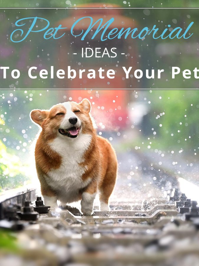 Pet Memorial Ideas