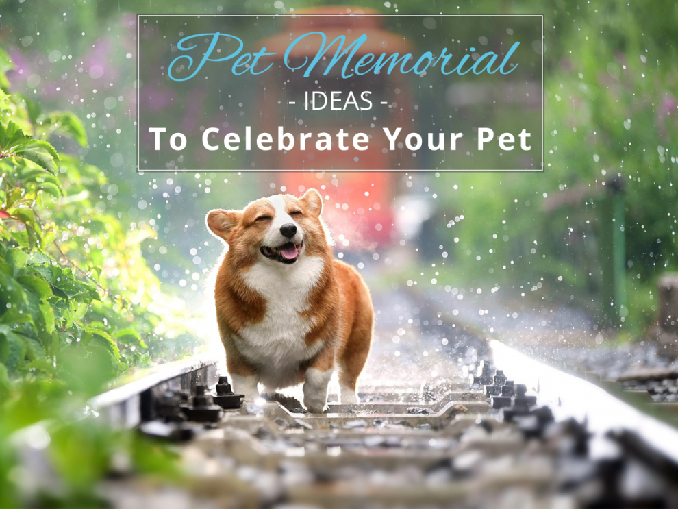 Pet Memorial Ideas