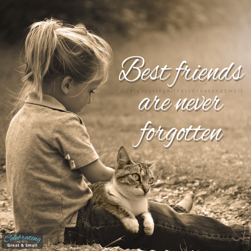 Sepia image of little girl sitting on the ground with a cat in her lap. Text reads 'best friends are never forgotten.'