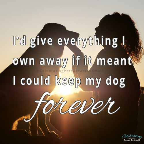 Sunset silhouette of a dog and woman with text that reads: I'd give everything I own if it meant I could keep my dog forever.