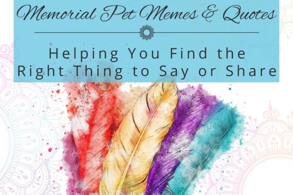 Memorial Pet Memes & Quotes