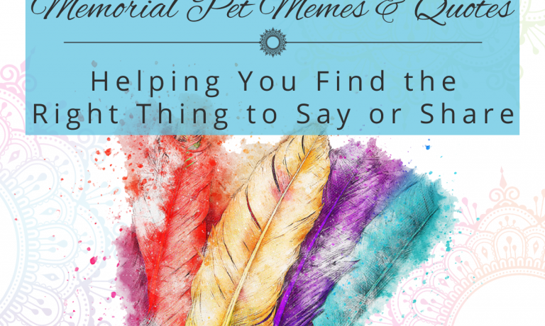 Memorial Pet Memes & Quotes