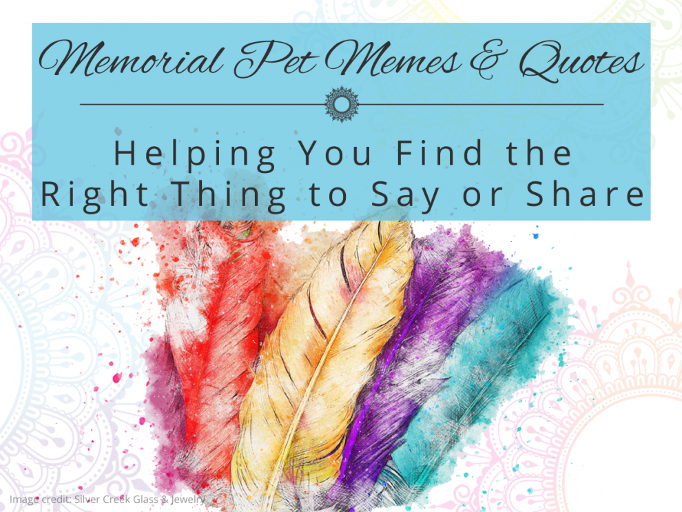 Memorial Pet Memes & Quotes