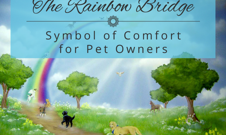 rainbow-bridge digital painting of The Rainbow Bridge