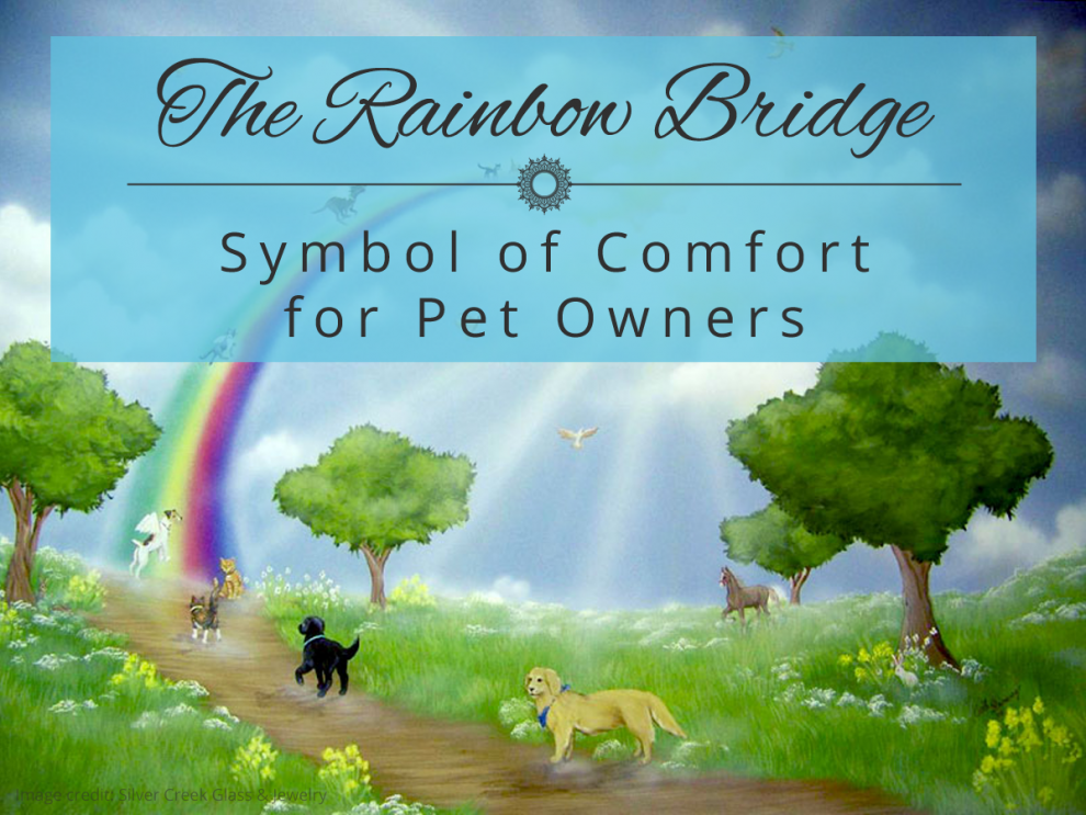 rainbow-bridge digital painting of The Rainbow Bridge